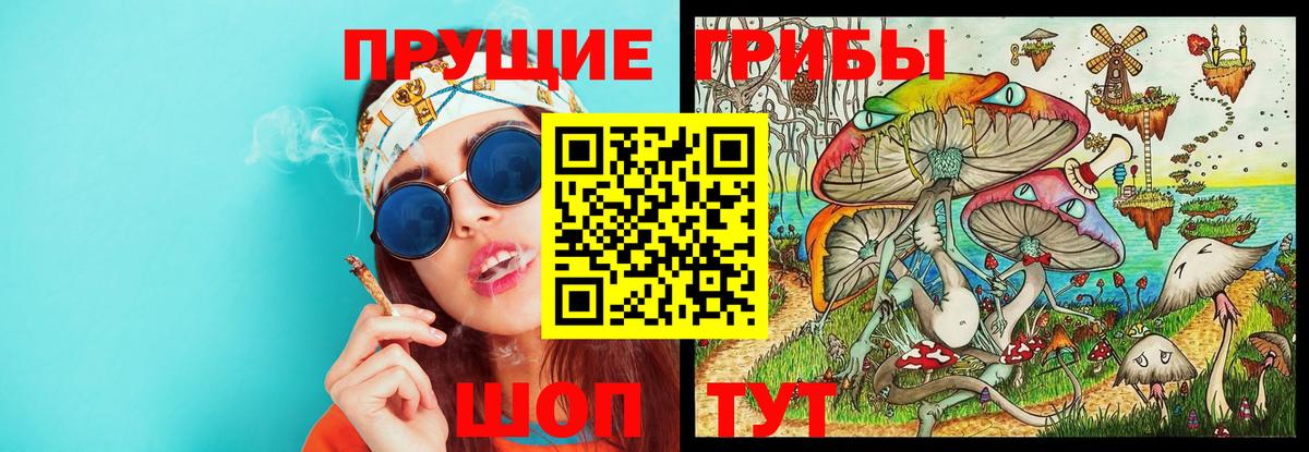 Галлюциногенные грибы ЛСД  Вход с VPN  Галлюциногенные грибы Psilocybe  Тамбов 